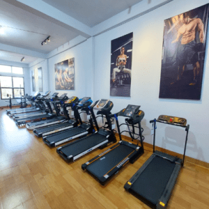 Untitled design (14)