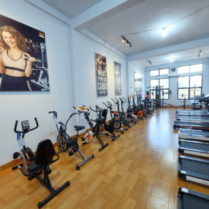 Untitled design (15)