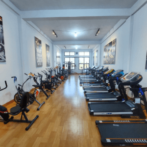 Untitled design (17)